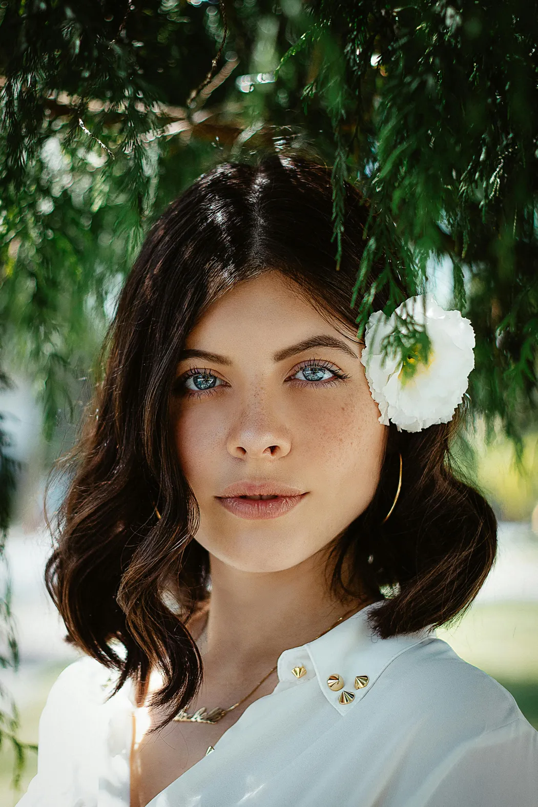 Pursuit of Portraits